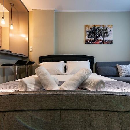 Olive House Apartment Ioannina Bagian luar foto