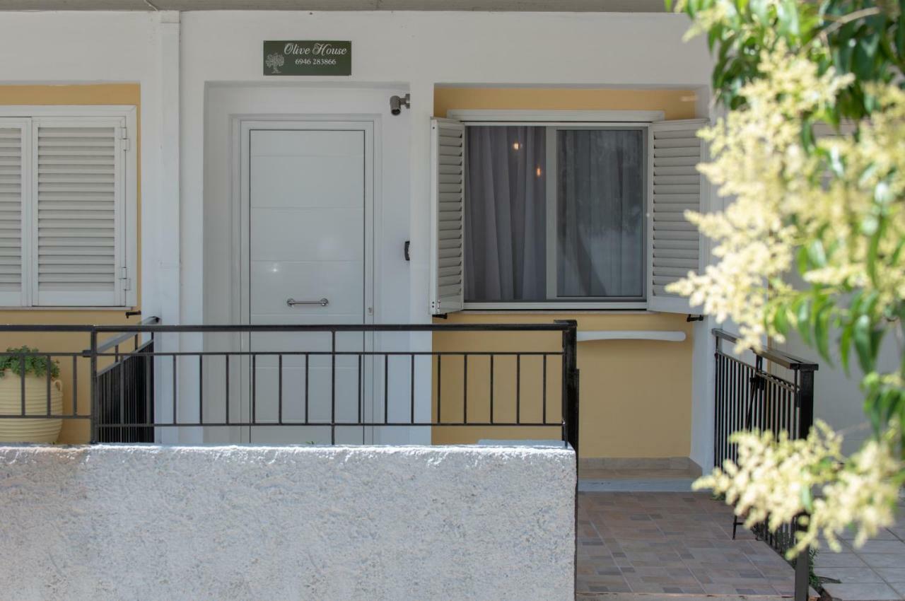 Olive House Apartment Ioannina Bagian luar foto