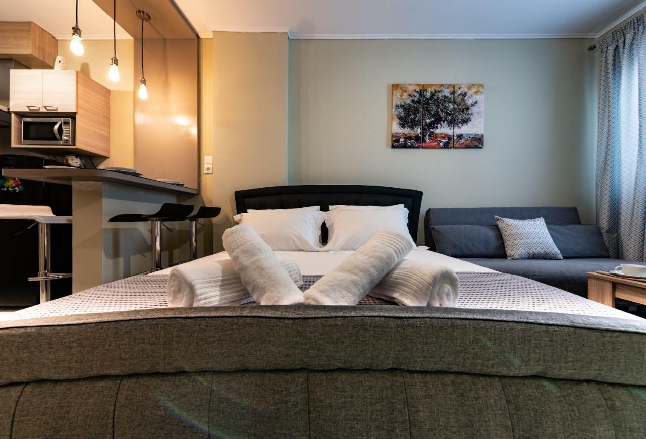 Olive House Apartment Ioannina Bagian luar foto